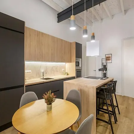 Apartment Urban Reformed With Ac Alicante